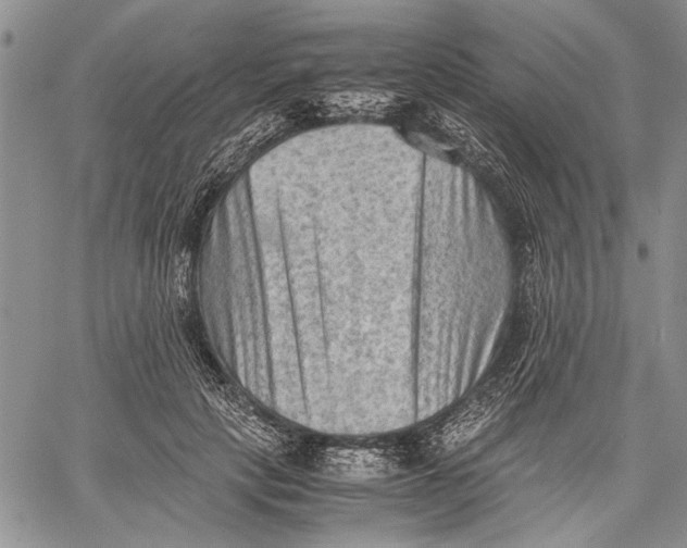 X0000060550649200511241226