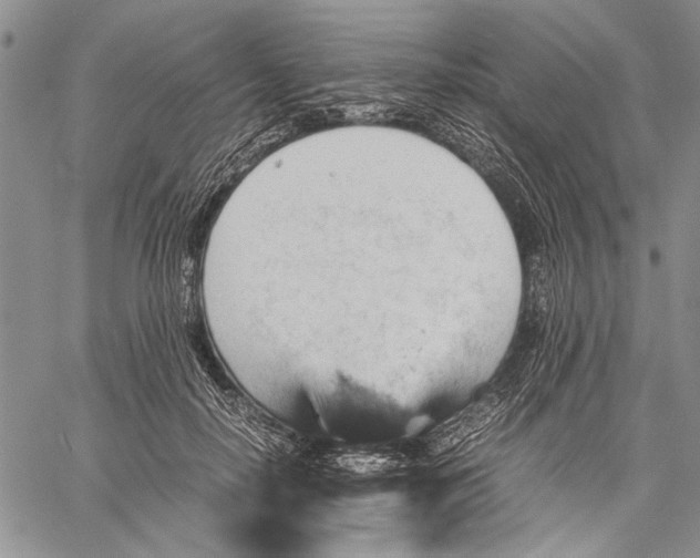 X0000060550650200511241226