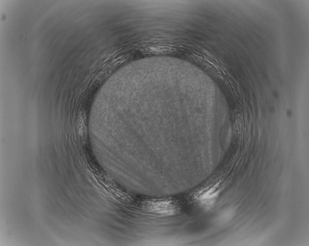 X0000060550651200511241226