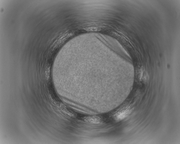 X0000060550652200511241226