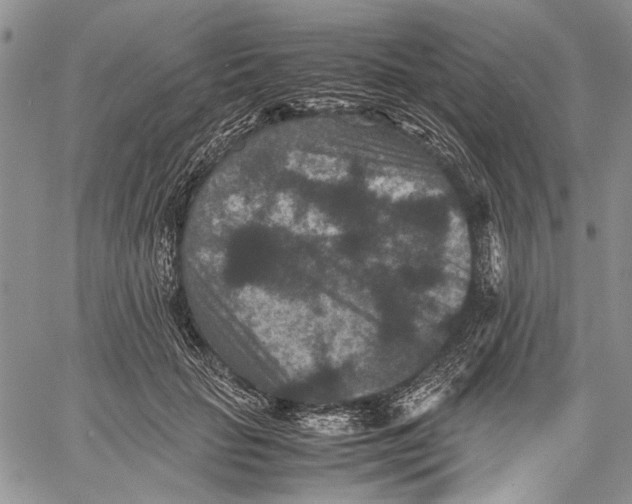 X0000060550653200511241226