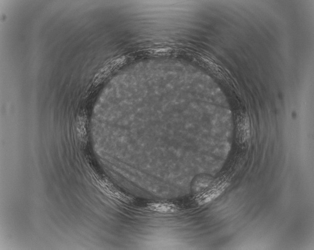 X0000060550654200511241226