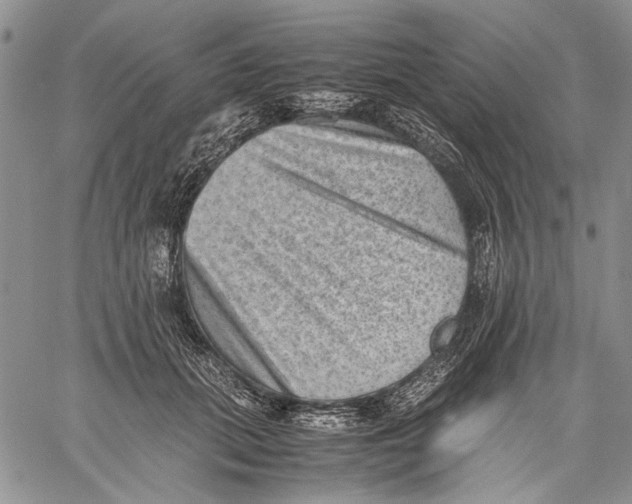 X0000060550655200511241226