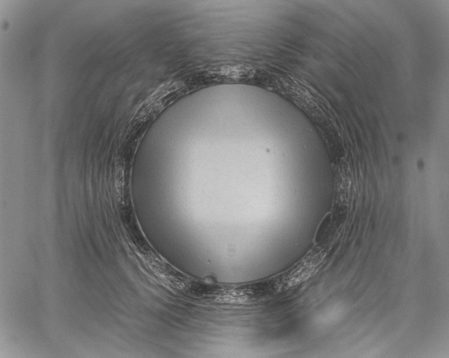 X0000060550656200511241226