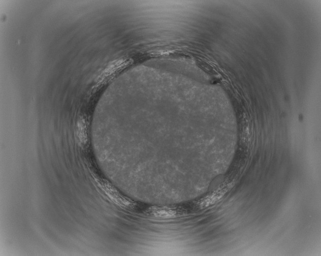 X0000060550658200511241226