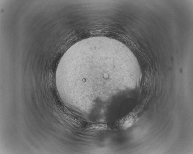 X0000060550659200511241226