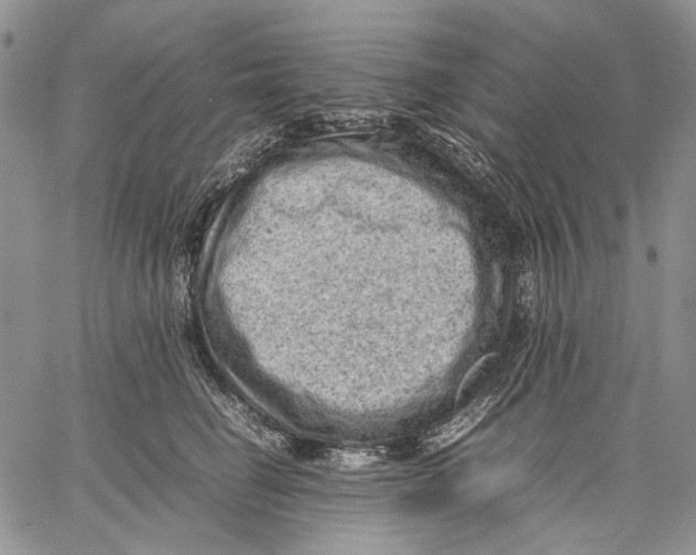 X0000060550662200511241226