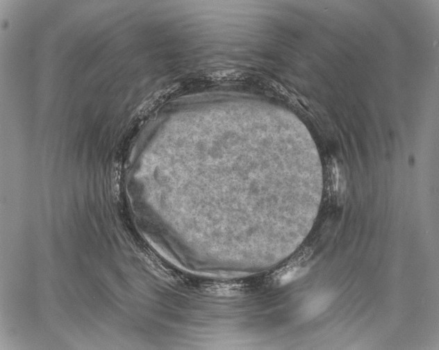 X0000060550664200511241226