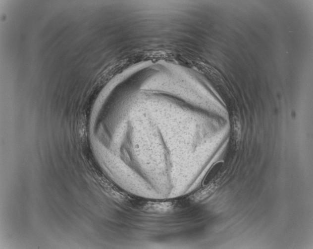 X0000060550665200511241226