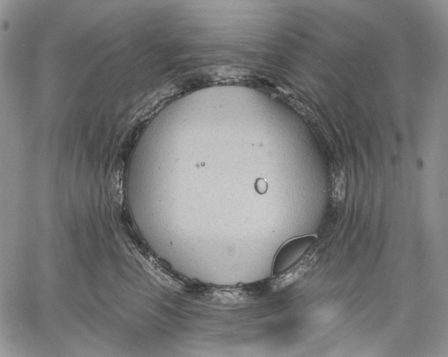 X0000060550666200511241226