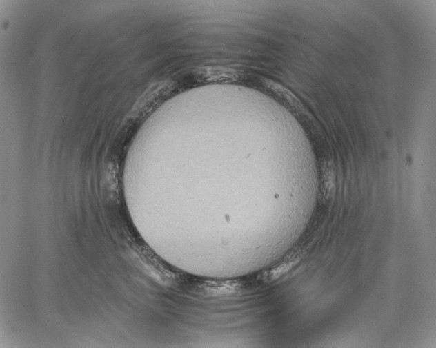 X0000060550667200511241227