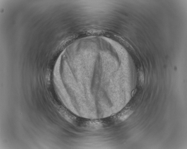 X0000060550668200511241227