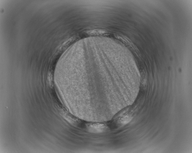 X0000060550669200511241227