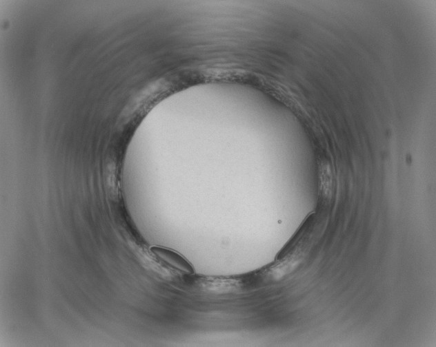 X0000060550670200511241227