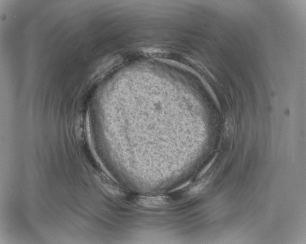 X0000060550671200511241227