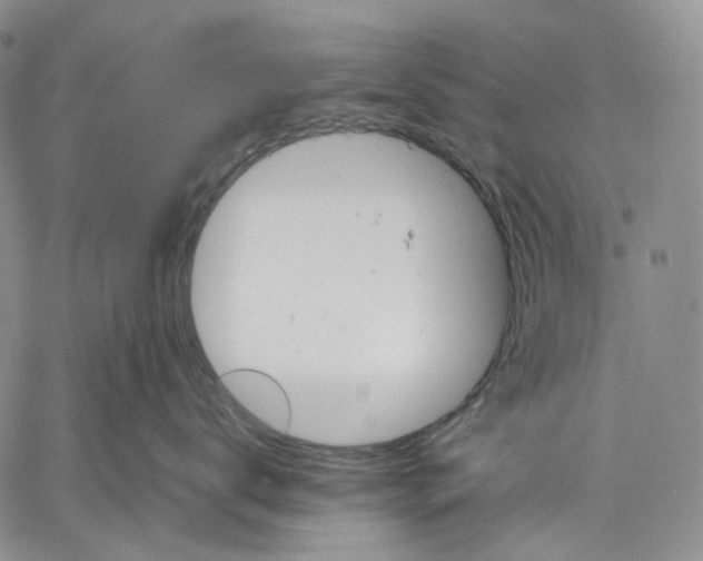 X0000060550672200511241227