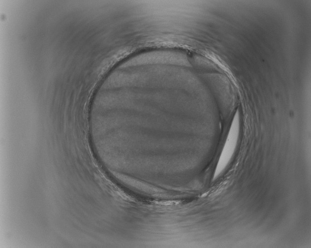 X0000060550673200511241226