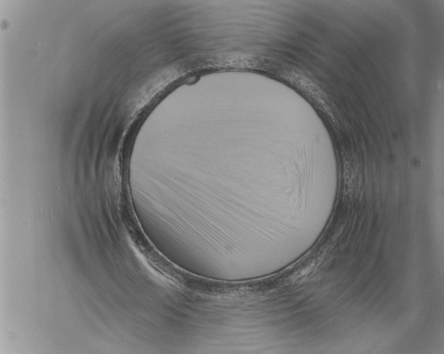 X0000060550674200511241226