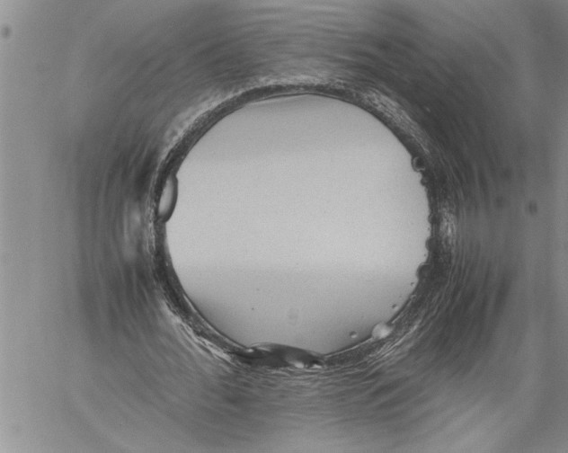 X0000060550676200511241226