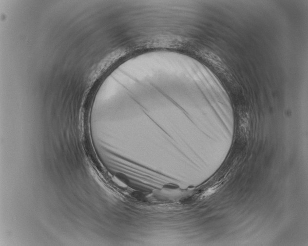 X0000060550678200511241226