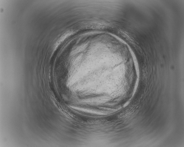 X0000060550679200511241226