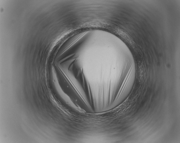 X0000060550680200511241226