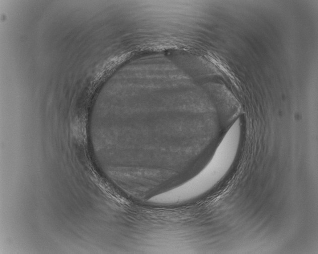 X0000060550681200511241226