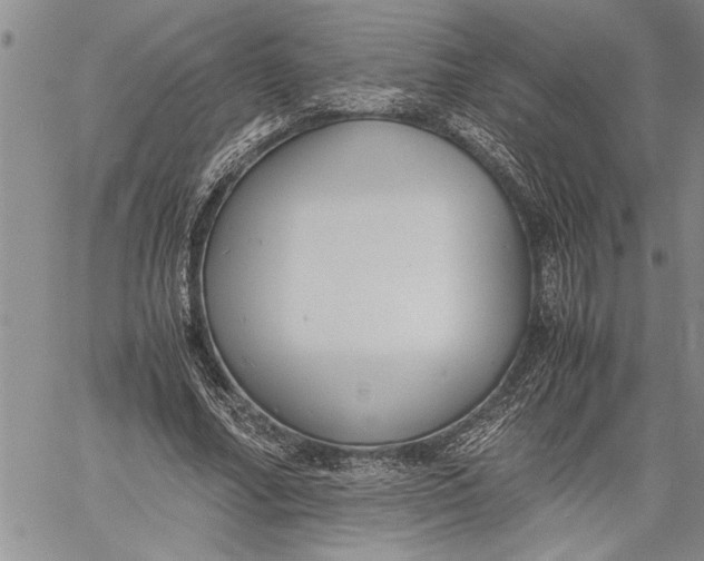 X0000060550682200511241226