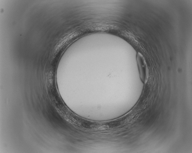 X0000060550683200511241226