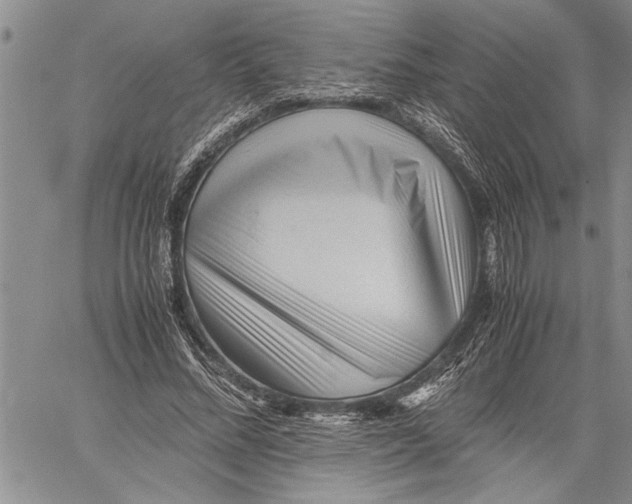 X0000060550684200511241226