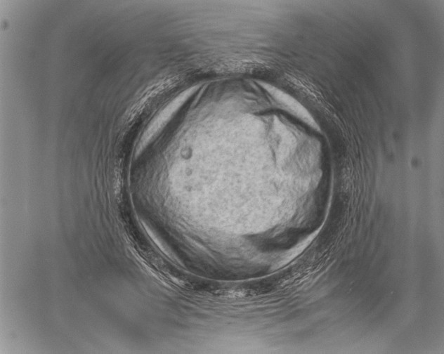 X0000060550687200511241226