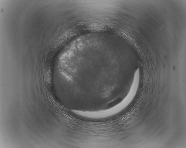 X0000060550689200511241226