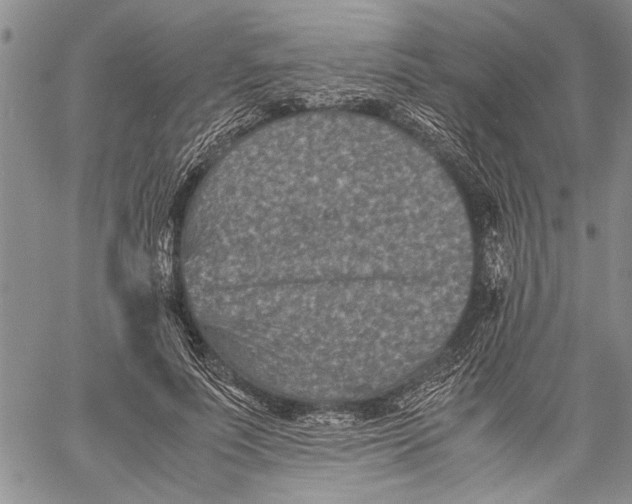 X0000060550691200511241226