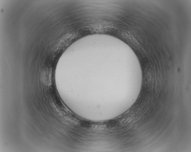 X0000060550694200511241225