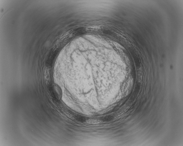 X0000060550699200511241225