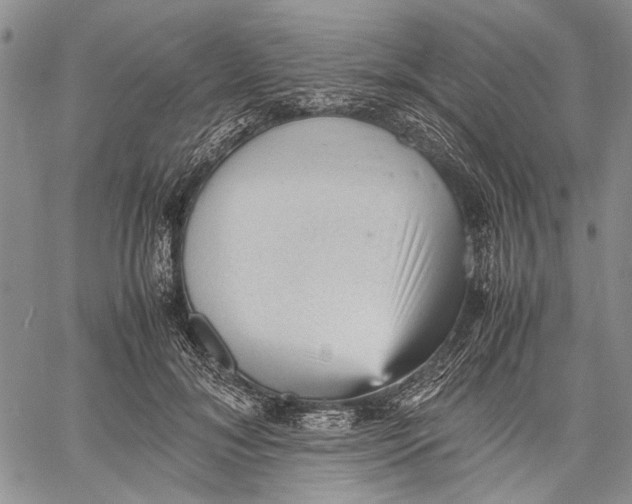 X0000060550700200511241225