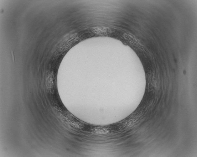 X0000060550702200511241225