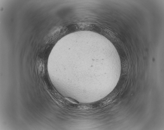 X0000060550703200511241225