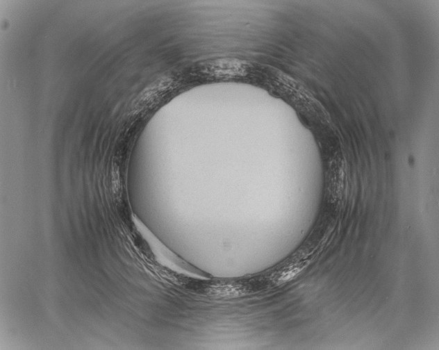 X0000060550704200511241225