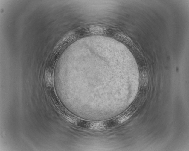 X0000060550705200511241225