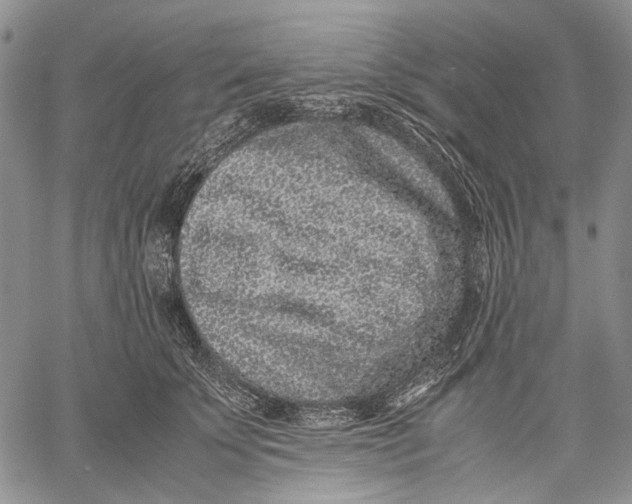 X0000060550707200511241225