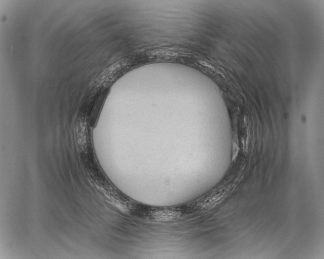 X0000060550708200511241225