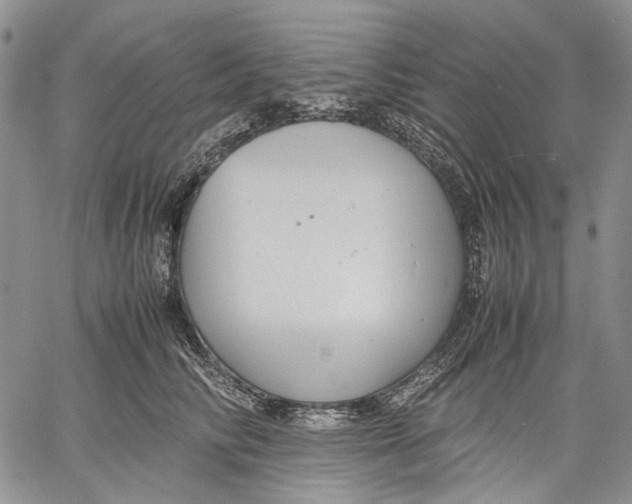 X0000060550710200511241225