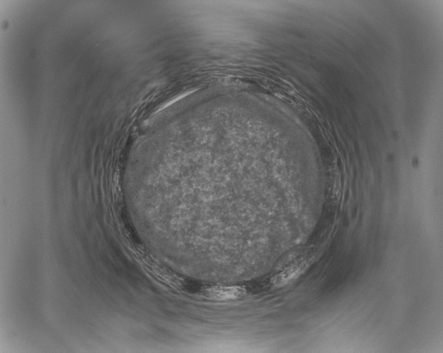 X0000060550711200511241225