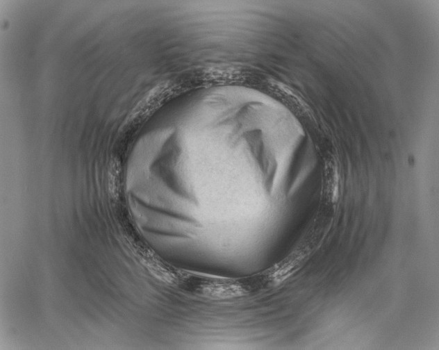 X0000060550712200511241225