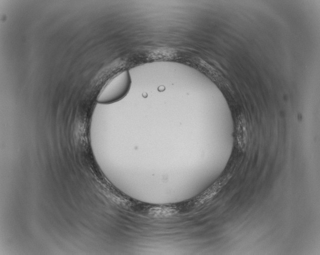 X0000060550714200511241225