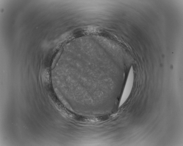 X0000060550715200511241225