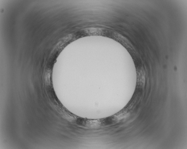 X0000060550717200511241225