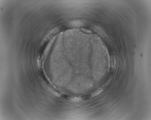 X0000060550718200511241225