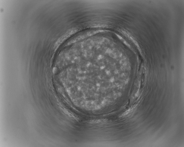 X0000060550721200511241224